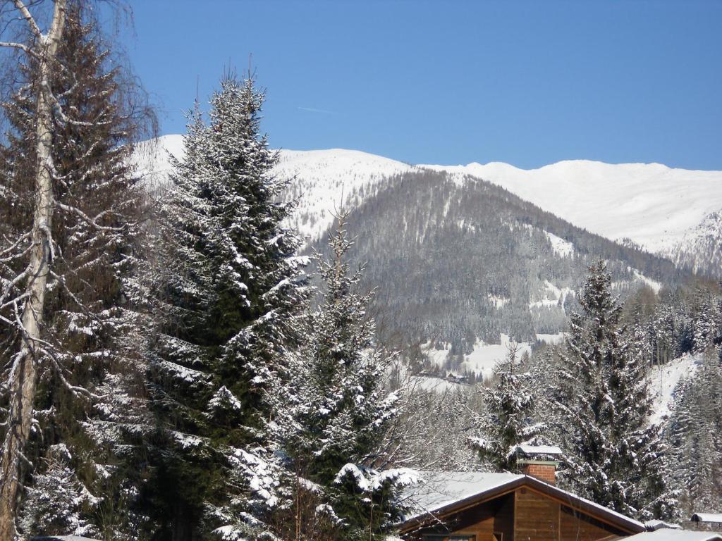 Appartement Latschen - Ferienhaus Bad Kleinkirchheim Exterior photo